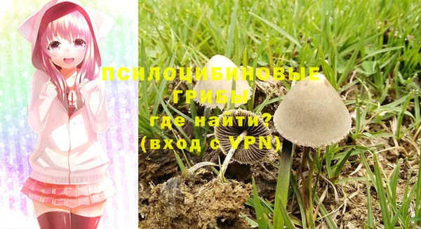 MDMA Premium VHQ Верхнеуральск