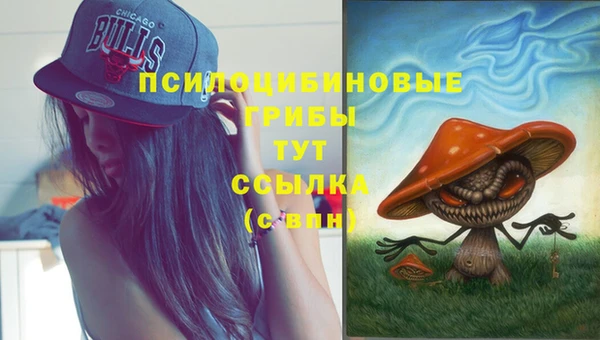 MDMA Premium VHQ Верхнеуральск