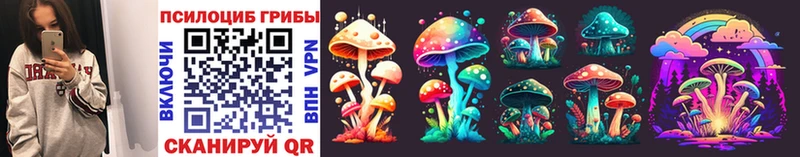 МЕГА ссылка  Кемерово  Псилоцибиновые грибы Cubensis 