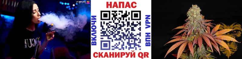 МЕГА tor  Кемерово  Шишки марихуана Ganja 